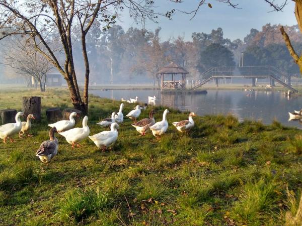 La Justina - Nuestro Campo, Rezerwuj Apartament Presidente Derqui Buenos Aires