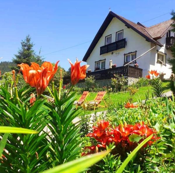 Casa Victoria, Rezerwuj Pensjonat Moeciu de Sus 