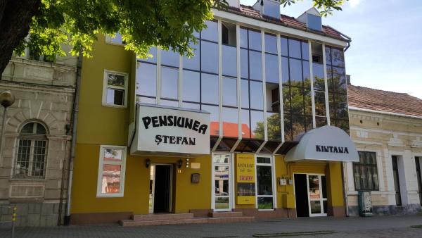 Pensiunea Stefan, Rezerwuj Pensjonat Tanie Hotele w Transylvania