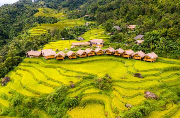 Hoang Su Phi Lodge, Rezerwuj Hotel Hoàng Su Phì Ha Giang