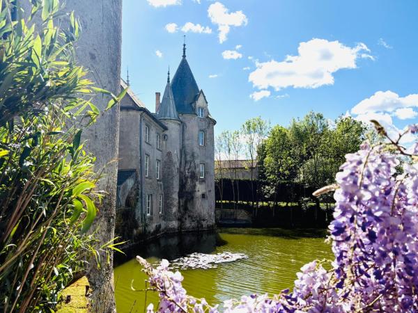 Chateau de la Preuille Gites, Rezerwuj Dom wakacyjny Domki letniskowe w Vendée, Domek