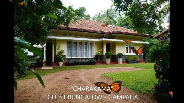 CHARAKAMA Guest Bungalow - GAMPAHA, Rezerwuj Pensjonat Minuwangoda Gampaha District