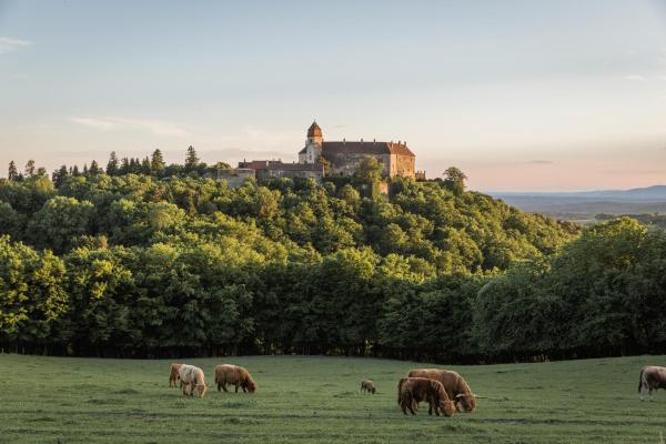 Burg Bernstein, Rezerwuj Hotel  