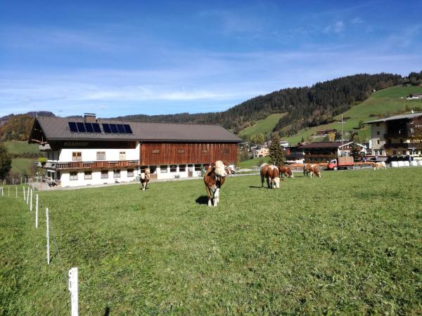 Moarhof Appartements, Rezerwuj Pokój u miejscowych Niederau Wildschoenau