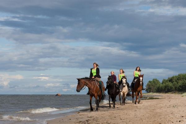 Arma Riding Farm And Holiday Home, Rezerwuj Dom wakacyjny Rutja 