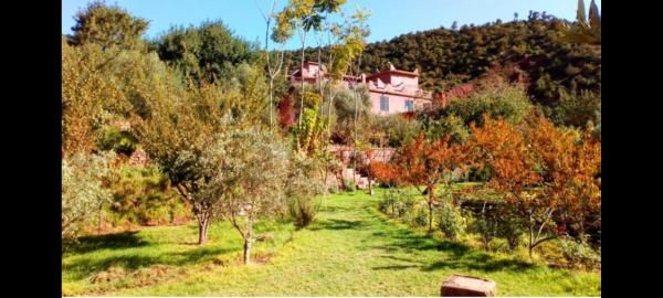Ourika Timalizène le jardin des délices, Rezerwuj Pensjonat Ourika 