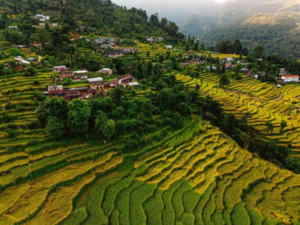Barang Village Community Homestay, Rezerwuj Pokój u miejscowych Pokhara 
