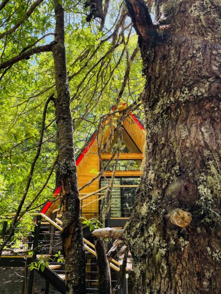 Casa del Árbol - Malalcahuello, Rezerwuj Chalet Malalcahuello Araucanía