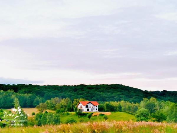 Agropensiunea Floare de Tei, Rezerwuj Pobyt na farmie Hotele w Carpathians - Romania z Basenem, Basen