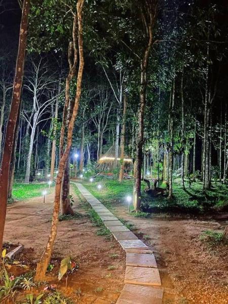 TreeSong Villa - Tranquil Forest Villa in Wayanad, Rezerwuj Willa Sulthan Bathery 
