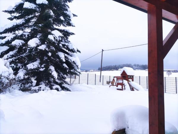Ferienhaus am Hochficht Mühlviertel in Oberösterreich, Rezerwuj Willa Freundorf Górna Austria