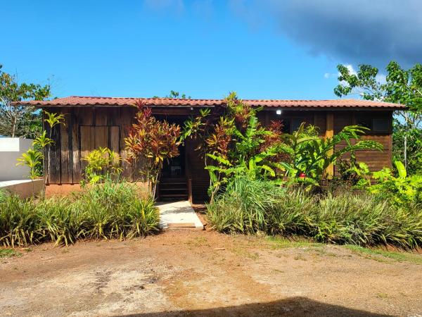 Jaco-Carara 3 bdrm surrounded by rainforest with private pool, Rezerwuj Dom wakacyjny Hotele w Carara z basenem, Basen