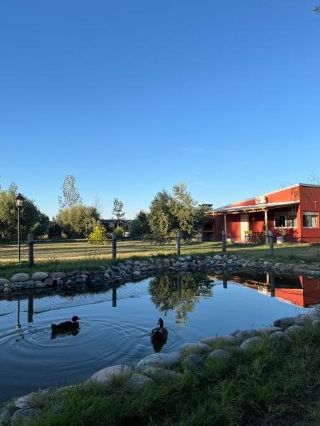 Finca La Calma, Rezerwuj Dom wakacyjny Hotele w Mendoza z Basenem, Basen