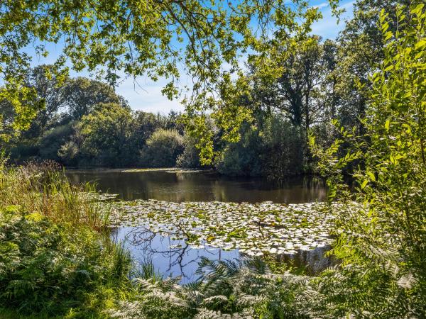 The Lodge At The Lake House, Rezerwuj Dom wakacyjny Ifold West Sussex
