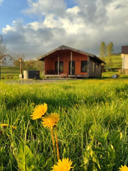 Family House Volosianka, Rezerwuj Dom wakacyjny Hotele w Lwów z parkingiem, Parking