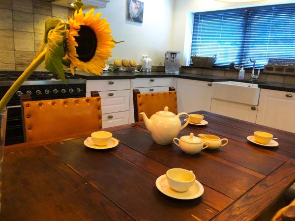 The Pelgrim House, Rezerwuj Apartament Sint Jacobiparochie Fryzja