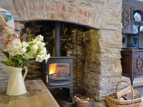 Annies Cottage, Rezerwuj Dom wakacyjny Buckland Monachorum Devon