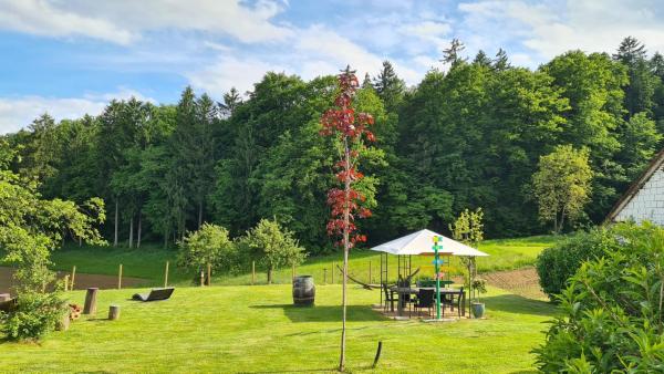 HOF-AREAL Südsteiermark Dein Ort für Poltergruppen & Hochzeiten, Rezerwuj Pobyt na farmie Hotele w Southern Styria z Basenem, Basen