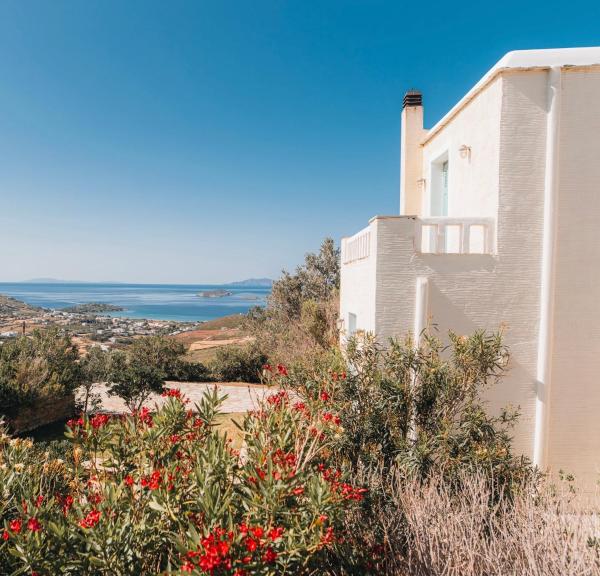 Villa Il Paradiso Andros, Rezerwuj  Gavrio Andros Island