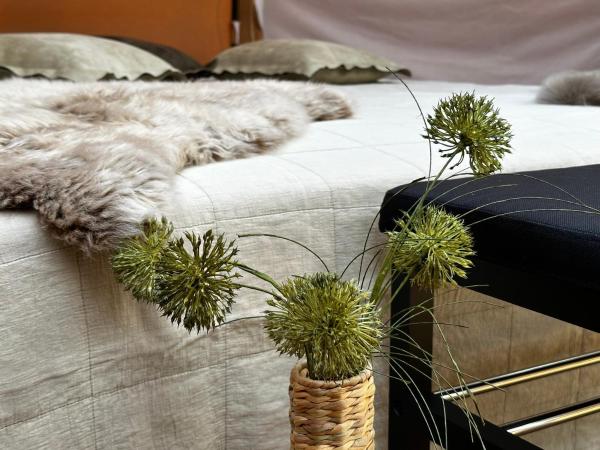 Romantic Luxus Glamping 3, Rezerwuj Pole kempingowe Hotele w Falster ze śniadaniem, Śniadanie