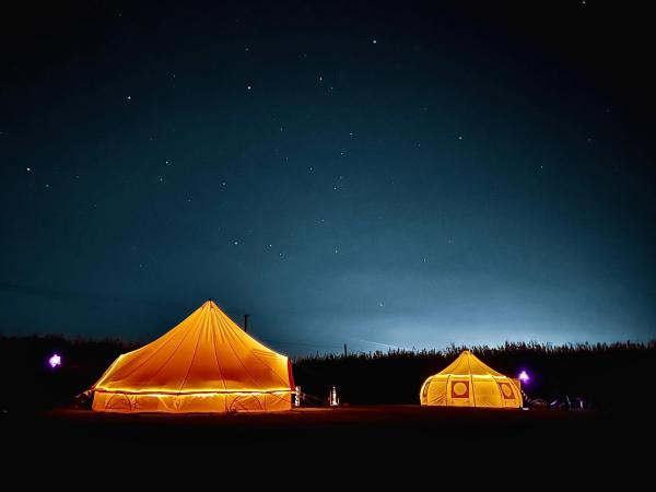 The Follies Glamping, Rezerwuj Pole kempingowe Maidstone Kent