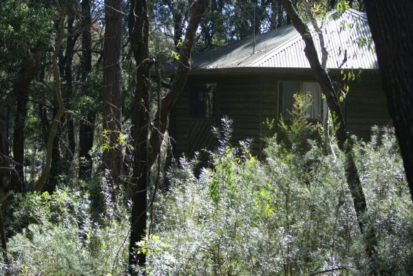 Twin Falls Bush Cottages, Rezerwuj Pensjonat Kangaroo Valley South Coast