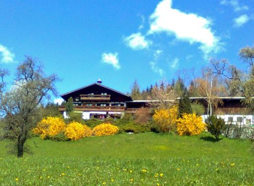 Biohof Schwanser, Rezerwuj Pobyt na farmie Steinbach am Attersee 