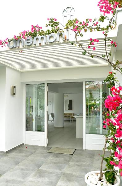 Anemoni Beach Hotel, Rezerwuj  Hotele w Sporades z basenem, Basen