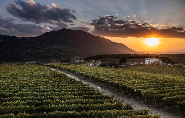 Giardino Delle Oche - Ocone Taburno Wine County, Rezerwuj  Hotele w Ponte z Basenem, Basen