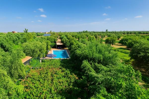 Eco Farm Tayssir Marrakech, Rezerwuj  Hotele w Marrakech-Tensift-Haouz z Basenem, Basen
