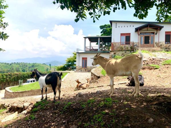 Amazi Land Home and Farm Stay, Rezerwuj  Kibuye Gitsi