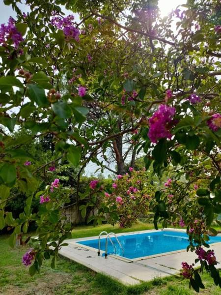 Villa indépendante avec piscine au rdc, Rezerwuj  Hotele w Nyons z Basenem, Basen