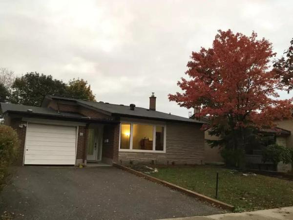 Private Rooms, Free Parking, Full Kitchen, Best Prices in Town- York University Heights, Rezerwuj  North York Toronto