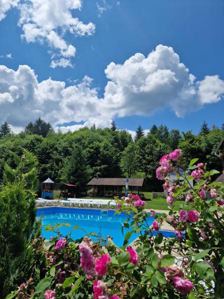 Pensiunea Andreea, Rezerwuj  Mărgineni Brasov