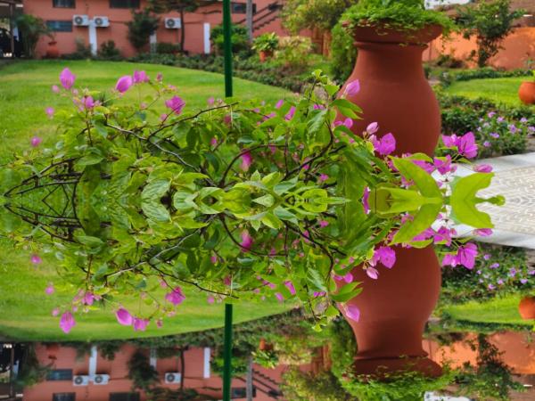 Gratitude Lodge, Rezerwuj  Kotonu Benin