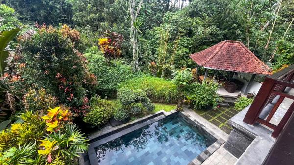 Nadiya Jungle Ubud Home, Rezerwuj  Tanie Hotele w Bali