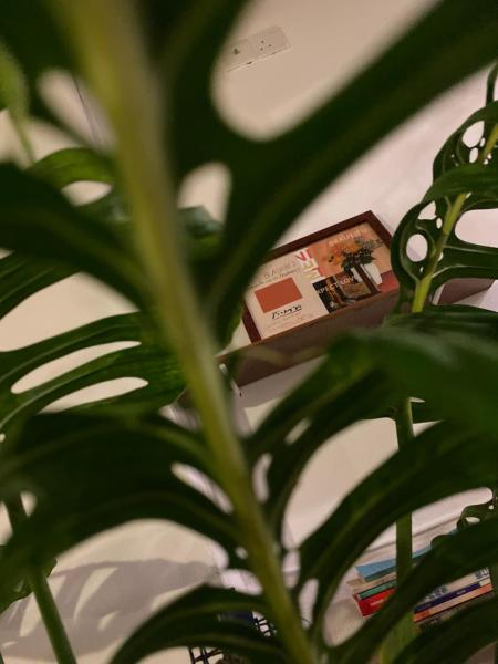 Homs Female Hostel, Rezerwuj  Georgetown Penang