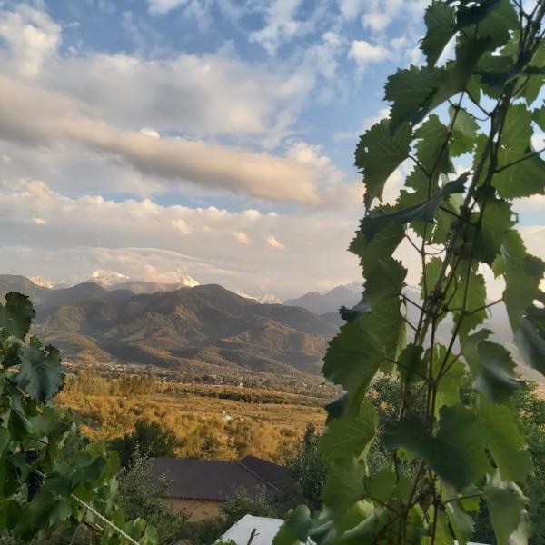 Non Solo Pizza, Rezerwuj  Hotele w Almaty Region z Basenem, Basen
