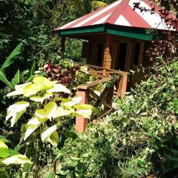 Berkey\s Jungle Paradise Resort, Rezerwuj  Roseau Dominika