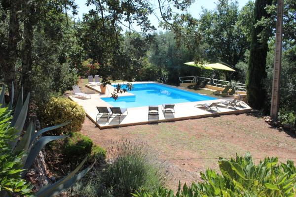 Villa Frédérick studio 4 pers, Rezerwuj Apartament Hotele w Owernia z Basenem, Basen