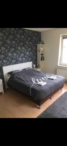 De Groene Oase, Rezerwuj  Harkstede Groningen