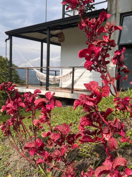 Cabañas Alondra - Hotel Boutique, Rezerwuj  Hotele w Vergara z Basenem, Basen