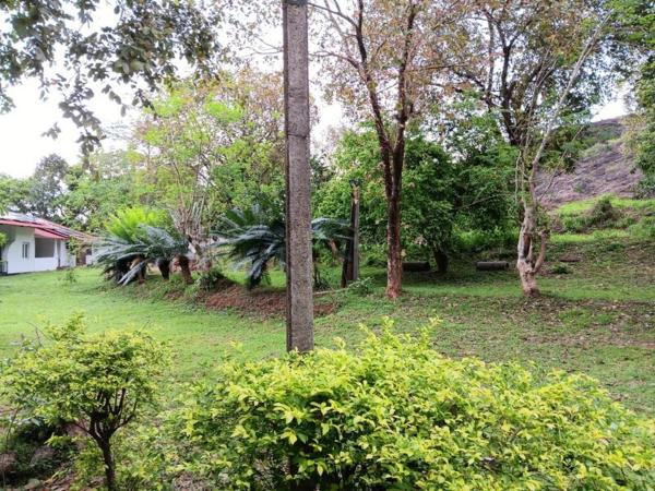 Aligama Cottage, Rezerwuj  Talakolawela 