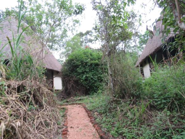 Kibale Forest Cottages And Campsite, Rezerwuj  Fort Portal Western Uganda