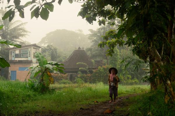 Omah minggir, Rezerwuj Apartament Apartamenty w Mergangsan, Apartament