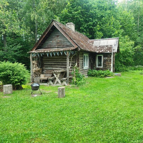 Tiny Cozy House, Rezerwuj   