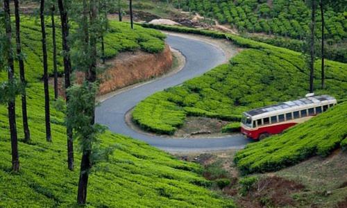 Green and Green, Rezerwuj  Vagamon Nowe Delhi