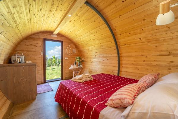Dormire in una botte - Antiche Vigne Pironti, Rezerwuj  Marzi Kalabria