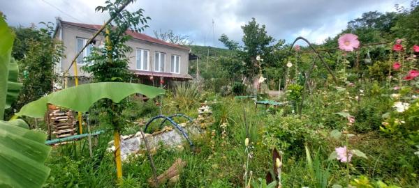 Guest House David, Rezerwuj  Gumbra 