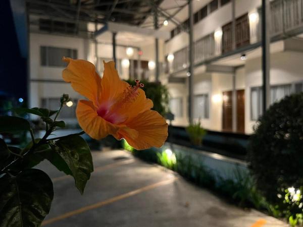 3B Boutique Hotel & Restaurant, Rezerwuj  Chiang Mai Chiang Mai Province